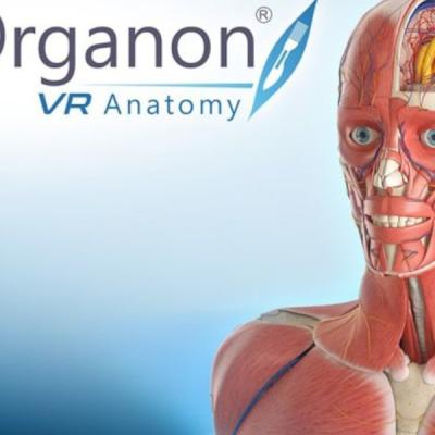 Virtualni Realita Software Pro Virtualni Bryle 20221110 1699647982