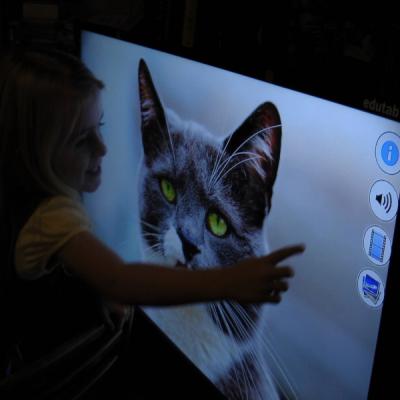 Vyuziti Edutabtv Nahrad Interaktivni Tabule Interaktivni Tv 20171214 1072513665