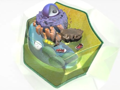 3d-software-pro-zakladni-a-stredni-skoly-15