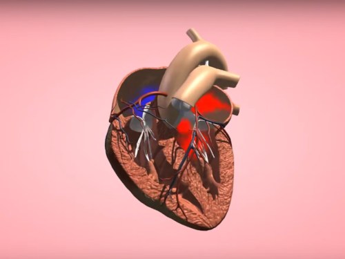3d-software-pro-zakladni-a-stredni-skoly-1
