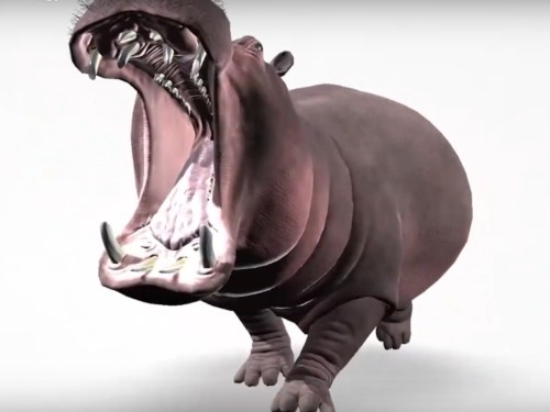 3d-software-pro-zakladni-a-stredni-skoly-6