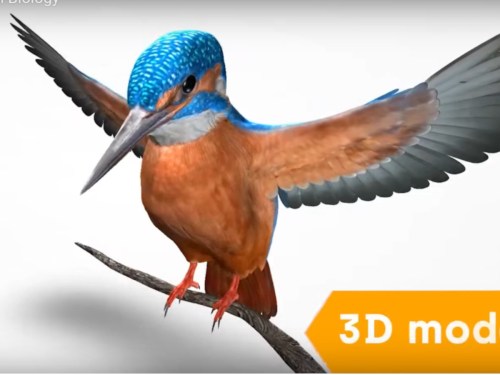 3d-software-pro-zakladni-a-stredni-skoly-7