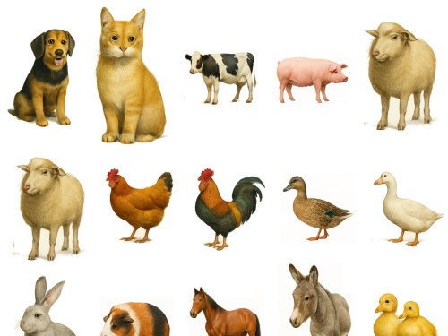 edutabtvplay-zvirata